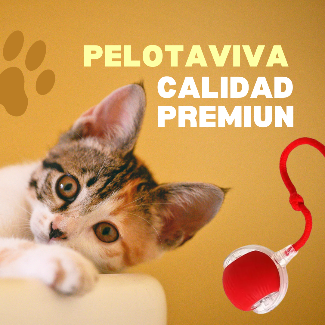 Pelotaviva UP-2 para gato, juguete interactivo para estimular y entretener a tu gato, de Veluna Pets